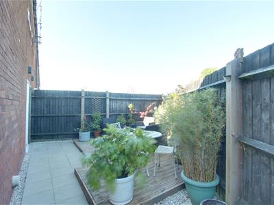 Picture 14